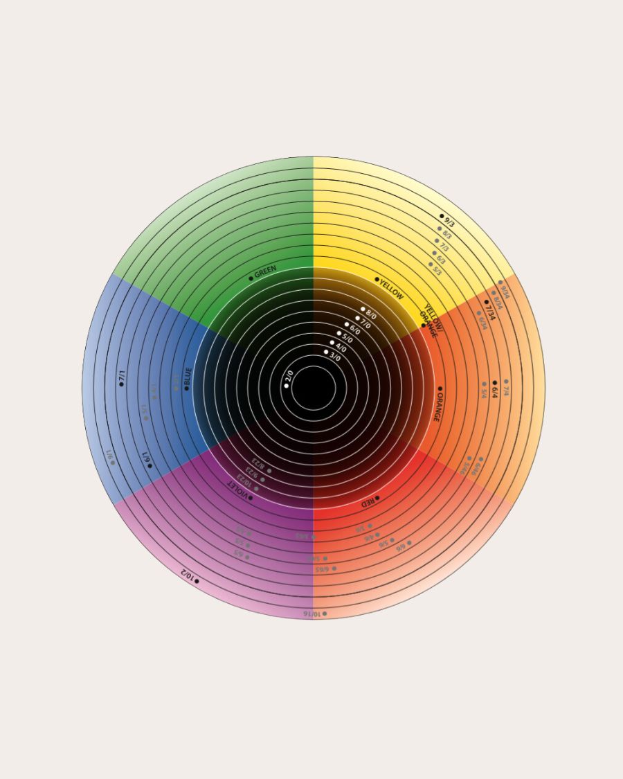 Color Circle